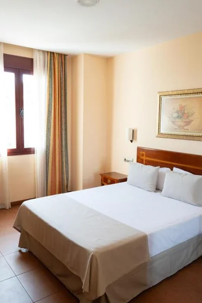 Hotel Villa de Antequera — photo 6