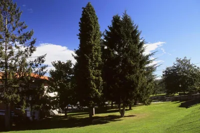 Hotel Villa De Nava — 写真 8