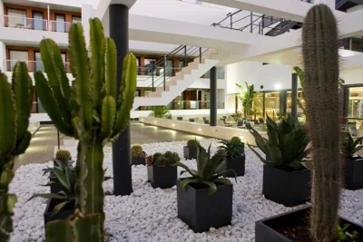 Hotel y Apartamentos Conilsol — Foto 6