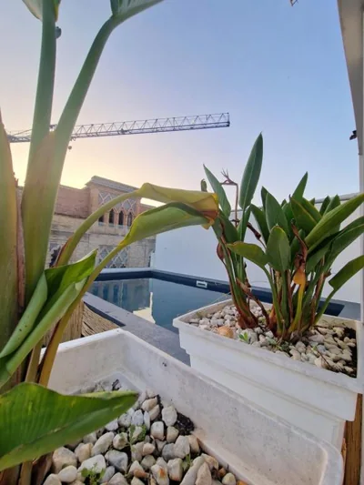 Hotel y Apartamentos Doña Lola — 写真 9