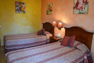 Hotel y Hostal Vall d Aneu — Foto 10