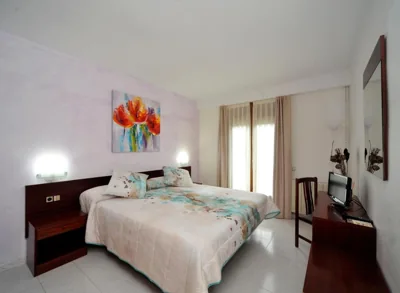 Hotel y Hostal Vall d Aneu — Foto 12