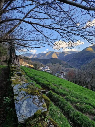 Hotel Zura — foto 6