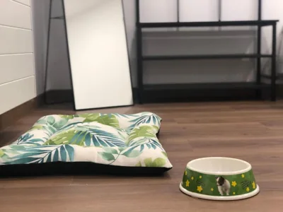 Huellas Albergue-Turístico — foto 3