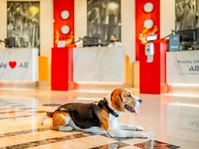 Ibis Barcelona Castelldefels — Foto 7