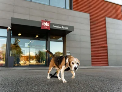 Ibis Ripollet — foto 2