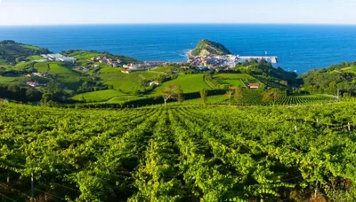 ibis Styles Zumaia Zestoa — foto 6