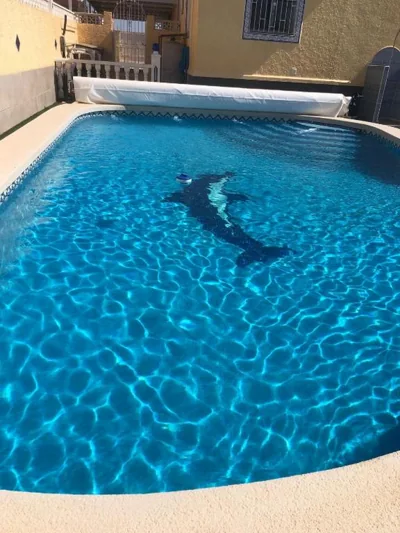 Ideal Location 3 Bed 3 Bath Villa With Pool On Camposol Sect B Close To Amenities — Foto 9
