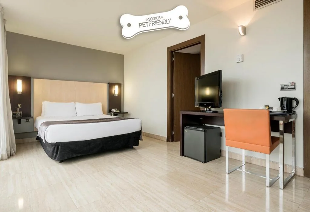 Doppelzimmer – Haustiere erlaubt — Ilunion Almirante