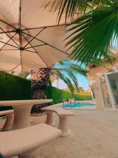 Impresionante Villa con piscina climatizada - OLIVA NOVA — foto 5