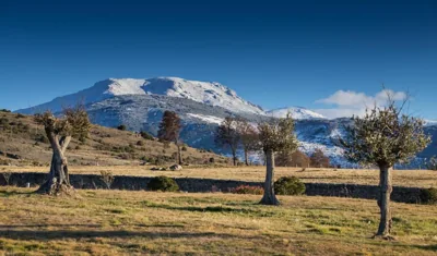 Izan Puerta de Gredos — Foto 7