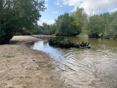 JARAMUNDI — photo 11
