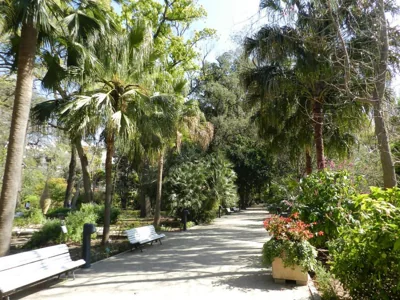 Jardín Botánico Rooms — Foto 5