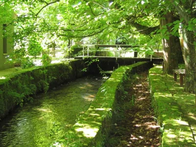 Jardin de Carrejo — 写真 11