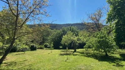 Jardín del Río — foto 9