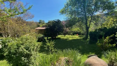 Jardín del Río — foto 10