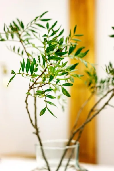 Jardines Boutique — photo 9