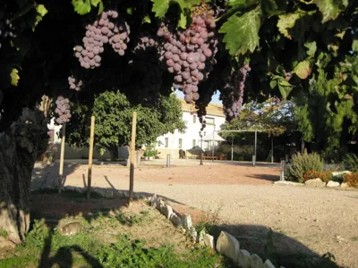 Jardines de Casablanca — foto 12