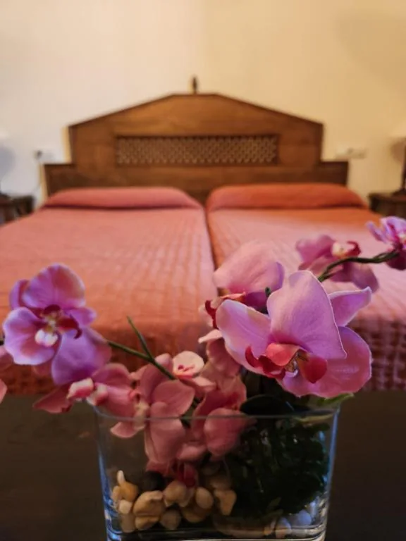 Camera Doppia Deluxe con letto supplementare — Jayca