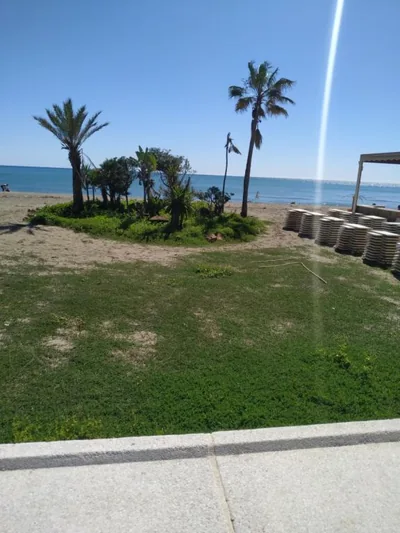 Joy Beach B&B — 写真 7