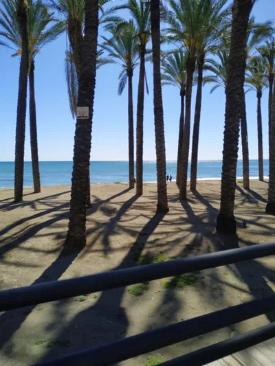 Joy Beach B&B — 写真 9