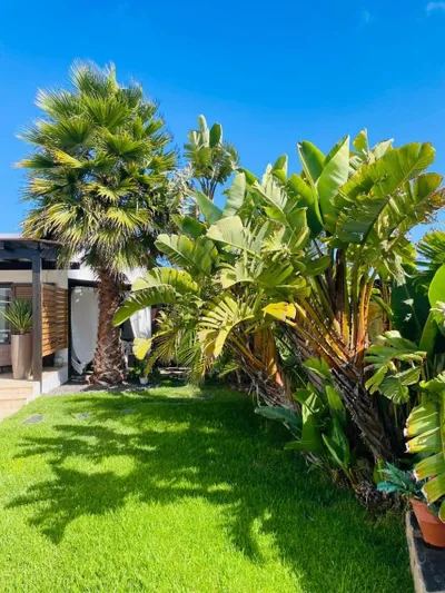 Kalufa Surf House — foto 12