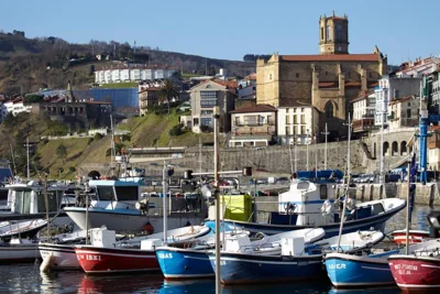 Katrapona — Foto 7