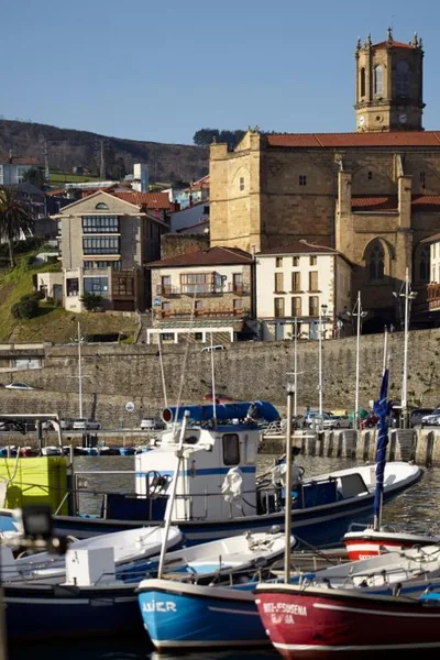 Katrapona — Foto 8