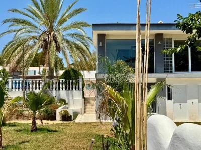 Kiwidestiny Alicante — foto 7