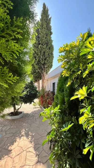 Kiwidestiny Alicante — foto 11