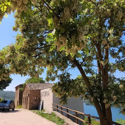 L'alberg la rectoria de la Torra — foto 12