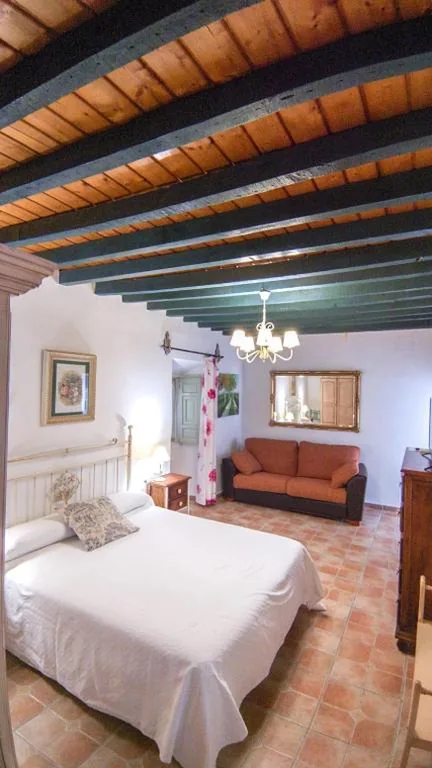 Family Room with Private Bathroom — La ALDABA de ALMAGRO
