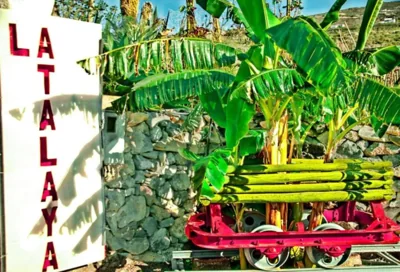 La Atalaya — foto 8