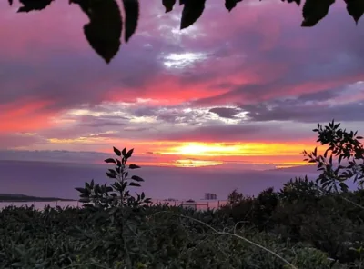 La Atalaya — foto 12