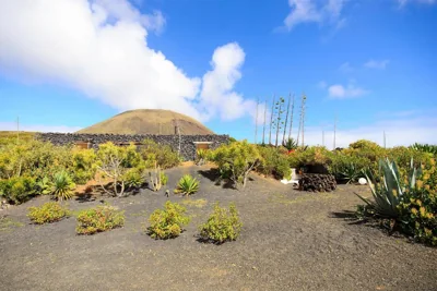 La Bodega - House on volcano with a piano — foto 9