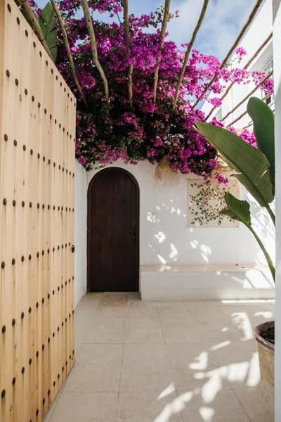 La Bohemia del Rio Boutique Hotel - Adults Only — 照片 11