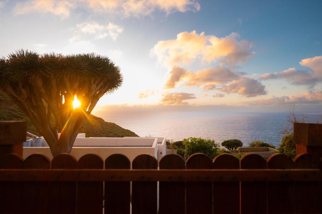 La Cábala del Draguillo en Santa Cruz de Tenerife