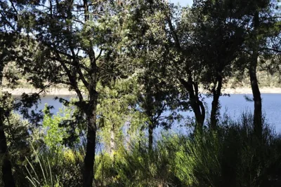 La cabaña del Burguillo — Foto 11