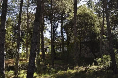 La cabaña del Burguillo — Foto 12