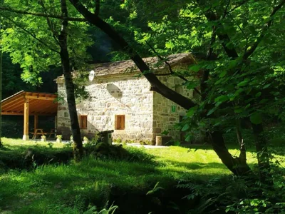 La Cabaña del Río — foto 5