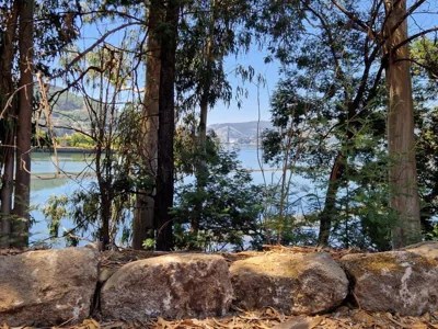 La Cabaña — Foto 6