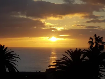 La Calma Tenerife - Pure Life 100m Ocean! — foto 11