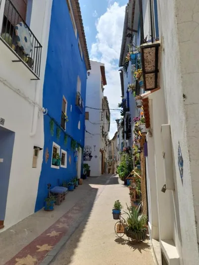 LA CASA AZUL — foto 5