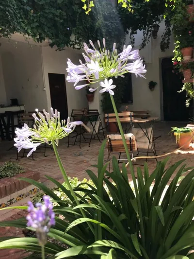 La Casa de Félix — foto 10