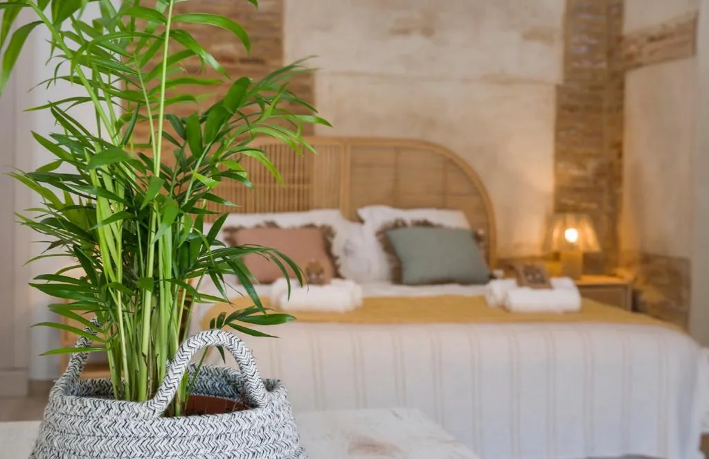 Superior-Zimmer – 1 Doppelbett — La casa de las flores