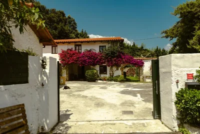 La casa de los árboles — foto 5