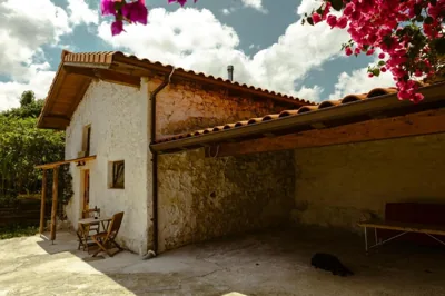 La casa de los árboles — foto 11