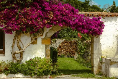 La casa de los árboles — foto 12