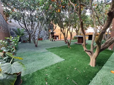 La casa de los naranjos — foto 9