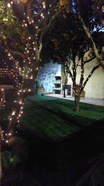 La casa de los naranjos — foto 11